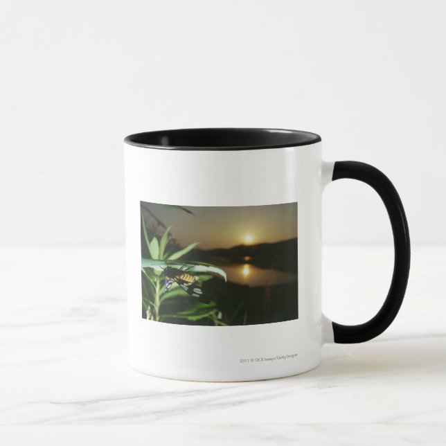 Close-up of Butterfly on leaf at sunset Mug (Right)