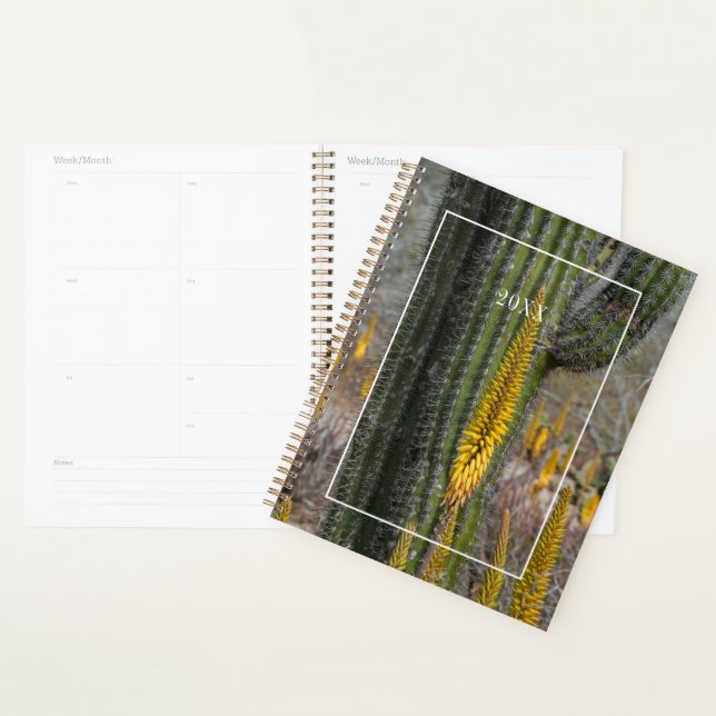 Close Up Of Cactus And Agave Planner (Display)
