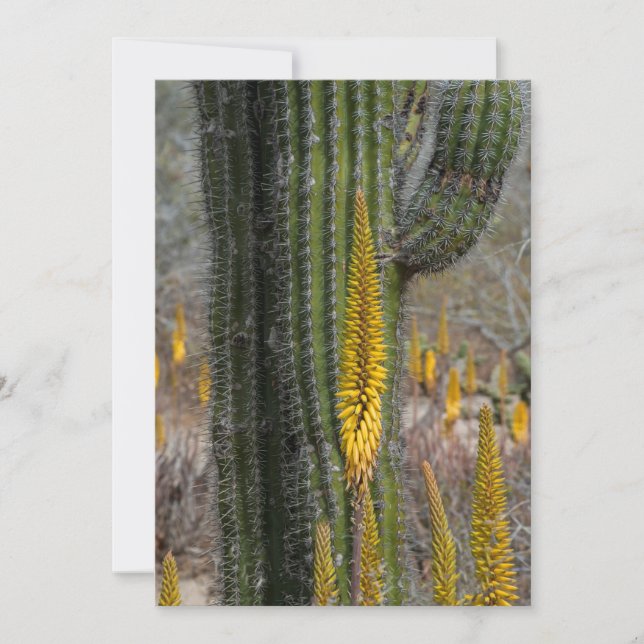 Close Up Of Cactus And Agave Thank You Card (Front)