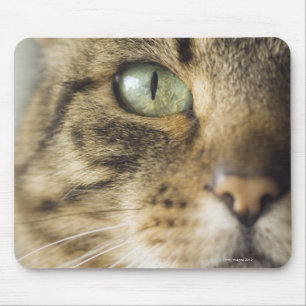 Close-up of cat (focus on eye) mouse pad