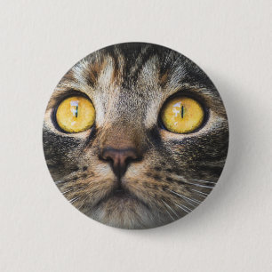Close-up of Cat with Yellow Eyes 6 Cm Round Badge