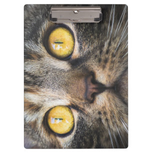 Close-up of Cat with Yellow Eyes Clipboard