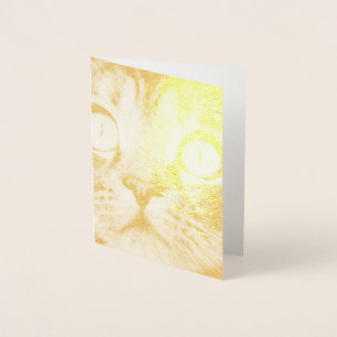 Close-up of Cat with Yellow Eyes Foil Card