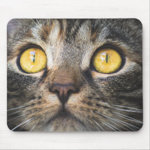 Close-up of Cat with Yellow Eyes Mouse Pad