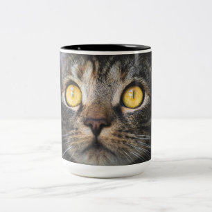 Close-up of Cat with Yellow Eyes Two-Tone Coffee Mug