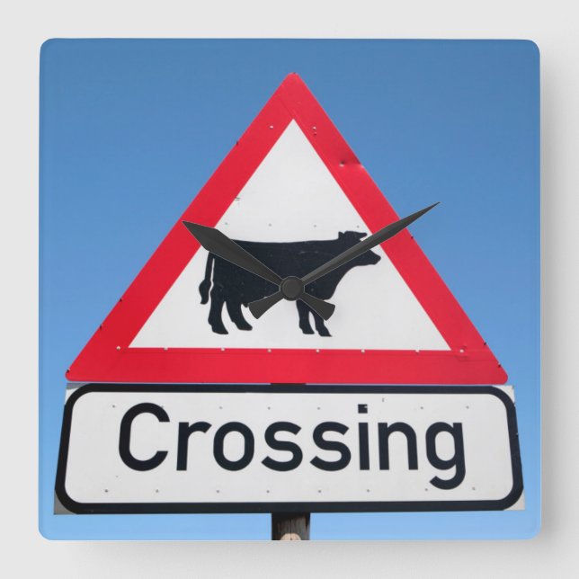 Close-Up Of Cattle Crossing Sign. Western Cape Square Wall Clock (Front)