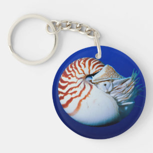 Close-Up Of Chambered Nautilus Key Ring