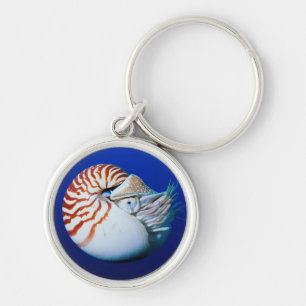 Close-Up Of Chambered Nautilus Key Ring