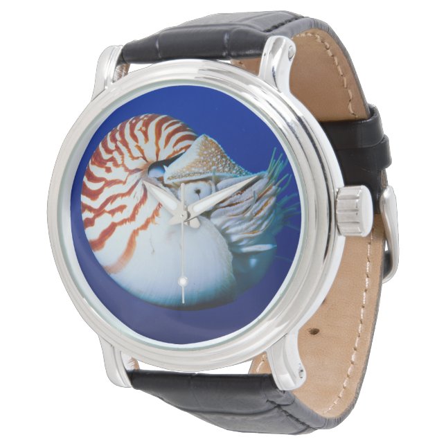 Close-Up Of Chambered Nautilus Watch (Angled)