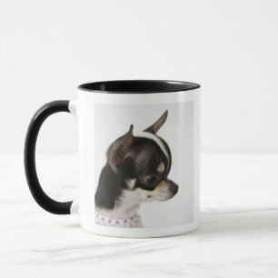 Close-up of Chihuahua, side view Mug