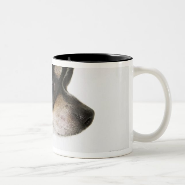 Close-up of Chihuahua, side view Two-Tone Coffee Mug (Right)