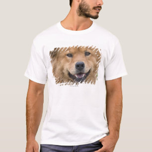 Close up of chow mix dog outdoors. T-Shirt