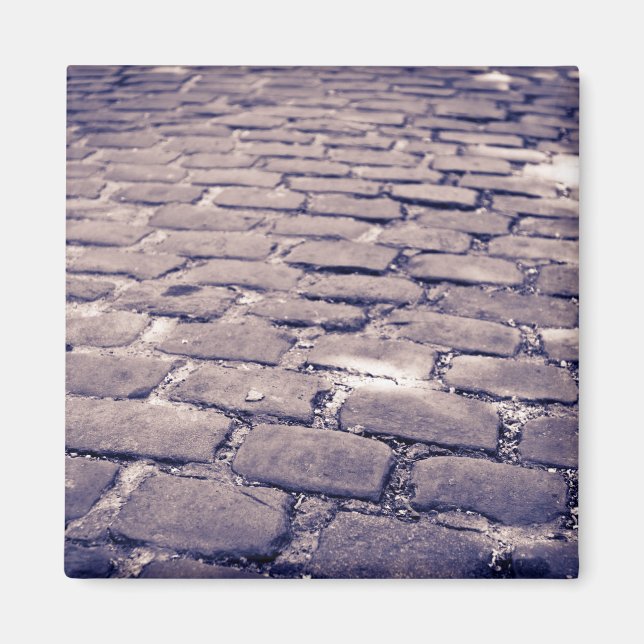 Close Up Of Cobblestone Street Magnet (Front)