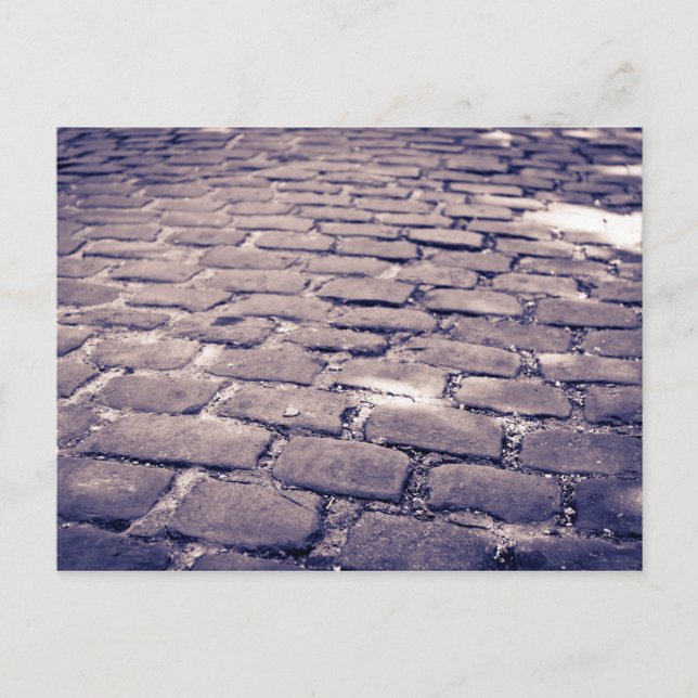 Close Up Of Cobblestone Street Postcard (Front)