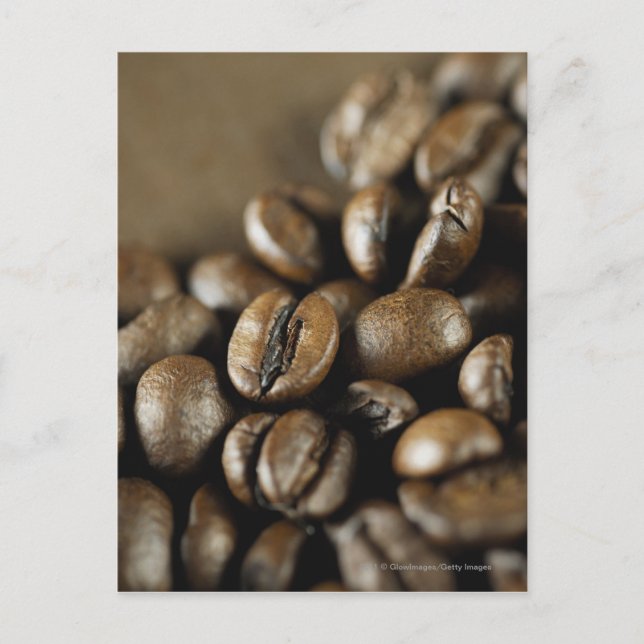 Close-up of coffee beans postcard (Front)
