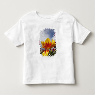 Close Up of Colourful Blooming Tulips In Oregon Toddler T-Shirt