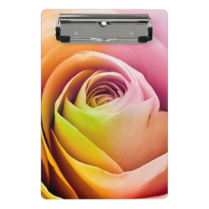 Close up of Colourful Rose Petals Mini Clipboard