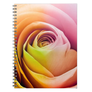Close up of Colourful Rose Petals Notebook