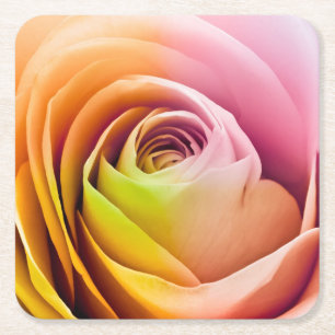 Close up of Colourful Rose Petals Square Paper Coaster