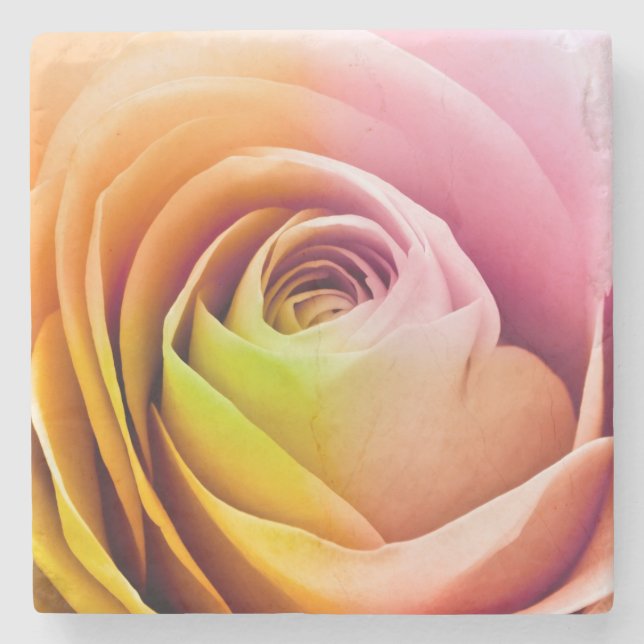 Close up of Colourful Rose Petals Stone Coaster (Front)