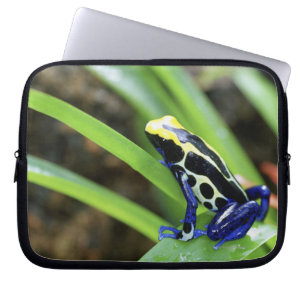 Close-up of Costa Rican Cobalt Dyeing Dart Frog Laptop Sleeve