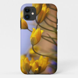 Close-up of daffodils iPhone 11 case