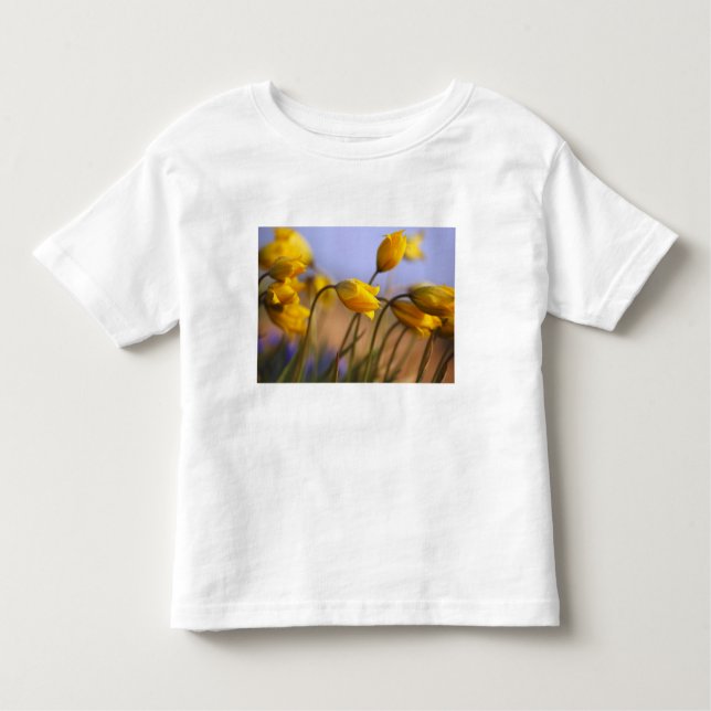 Close-up of daffodils toddler T-Shirt (Front)