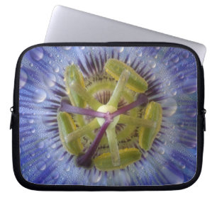 Close-up of dewy passion flower. Credit as: Don Laptop Sleeve