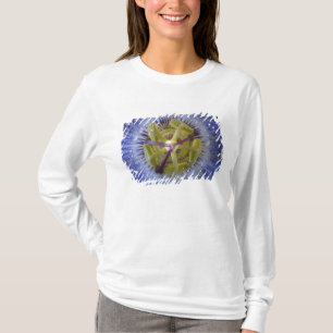 Close-up of dewy passion flower. Credit as: Don T-Shirt