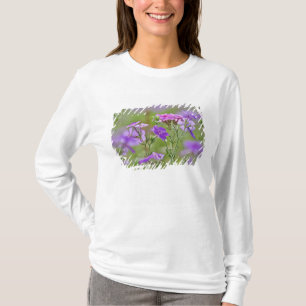 Close-up of Drummond Phlox, Phlox drummondi, 2 T-Shirt