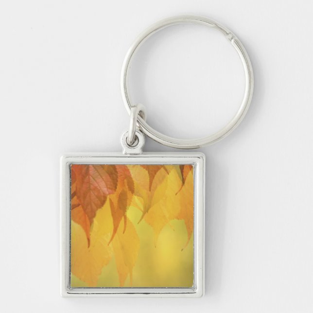 Close-up of Fall Leaves on a Branch Key Ring (Front)