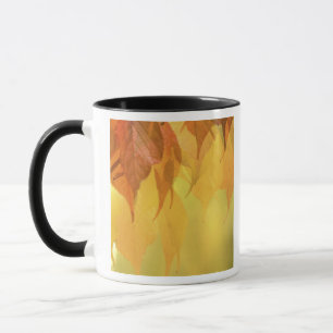 Close-up of Fall Leaves on a Branch Mug