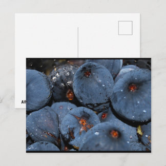 Close up of Fig Fruit Postcard