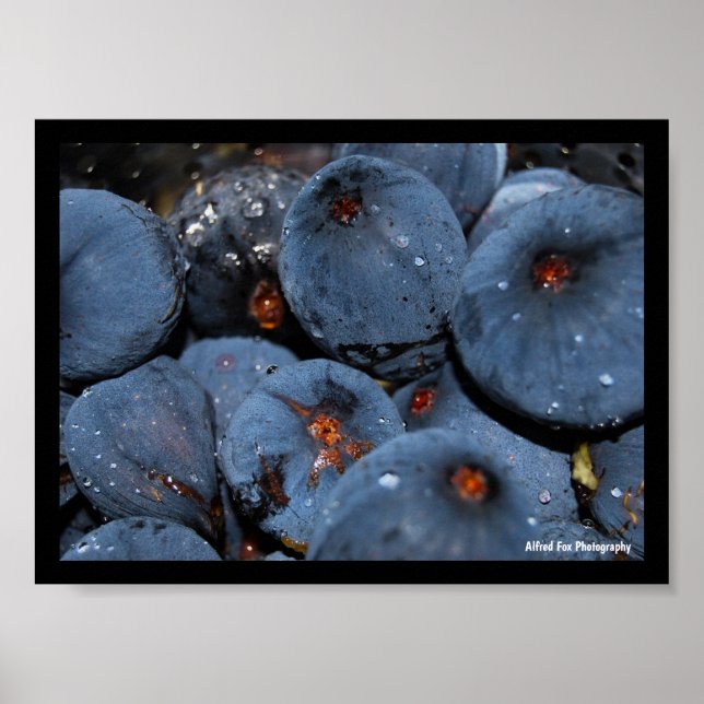 Close up of Fig Fruit Poster (Front)