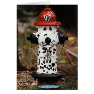Close-Up of Fire Hydrant