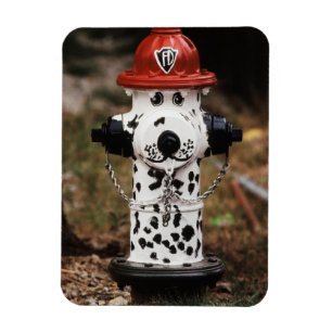 Close-Up of Fire Hydrant Magnet