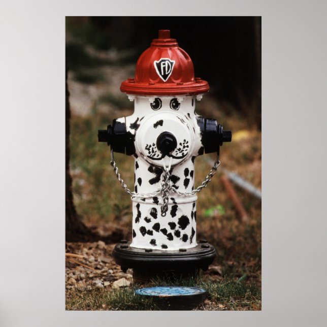 Close-Up of Fire Hydrant Poster (Front)