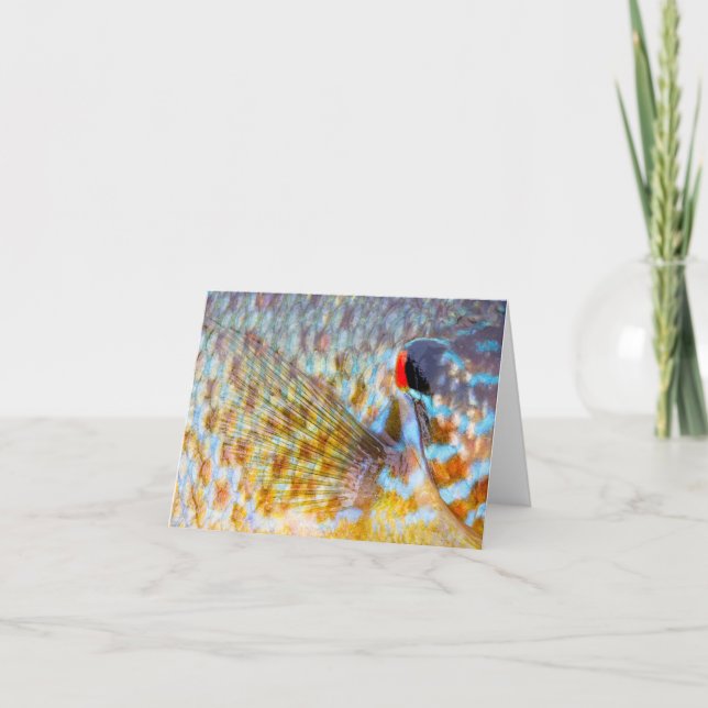 Close Up Of Fish Scales Note Card (Front)