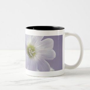Close-up of flowers 2 Two-Tone coffee mug