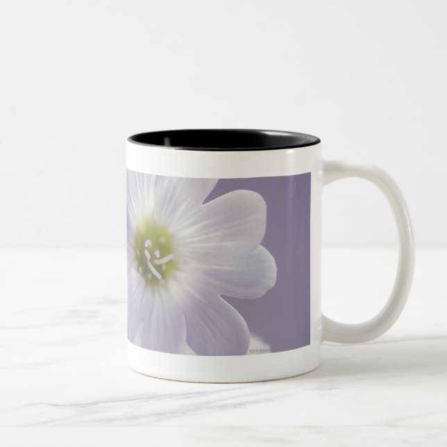 Close-up of flowers 2 Two-Tone coffee mug (Right)