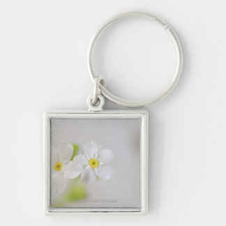Close-up of flowers key ring