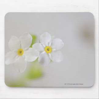 Close-up of flowers mouse pad