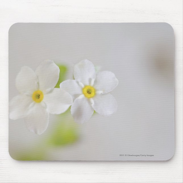 Close-up of flowers mouse pad (Front)
