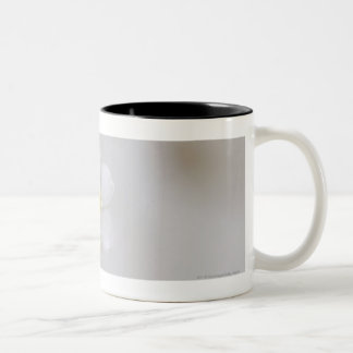 Close-up of flowers Two-Tone coffee mug