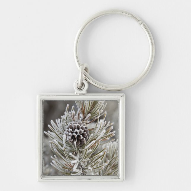 Close-up of frozen pine cone, Yellowstone Key Ring (Front)