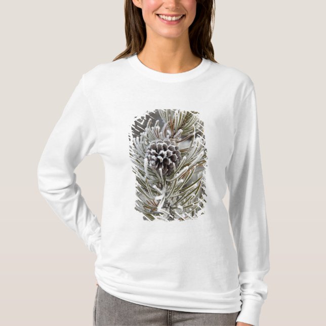 Close-up of frozen pine cone, Yellowstone T-Shirt (Front)