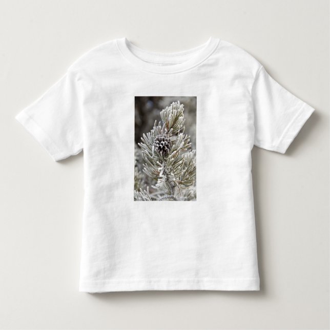 Close-up of frozen pine cone, Yellowstone Toddler T-Shirt (Front)