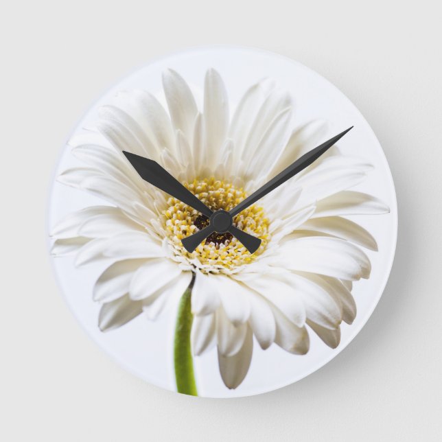 Close up of Gerbera flower head Round Clock (Front)