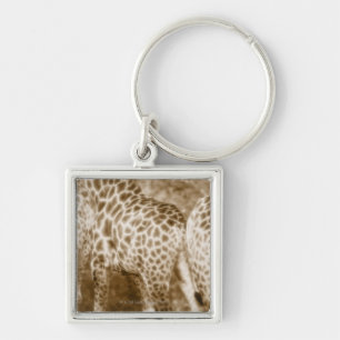 Close-Up of Giraffes Kruger National Park South Key Ring