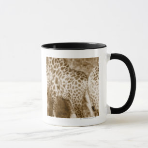 Close-Up of Giraffes Kruger National Park South Mug